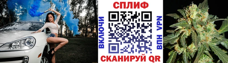 Бошки Шишки план  Калачинск 